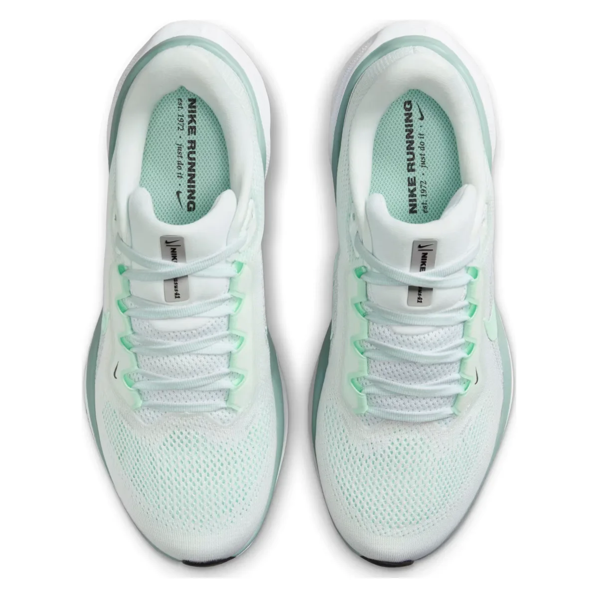 Nike Pegasus 41 Wmns "Mint Foam"