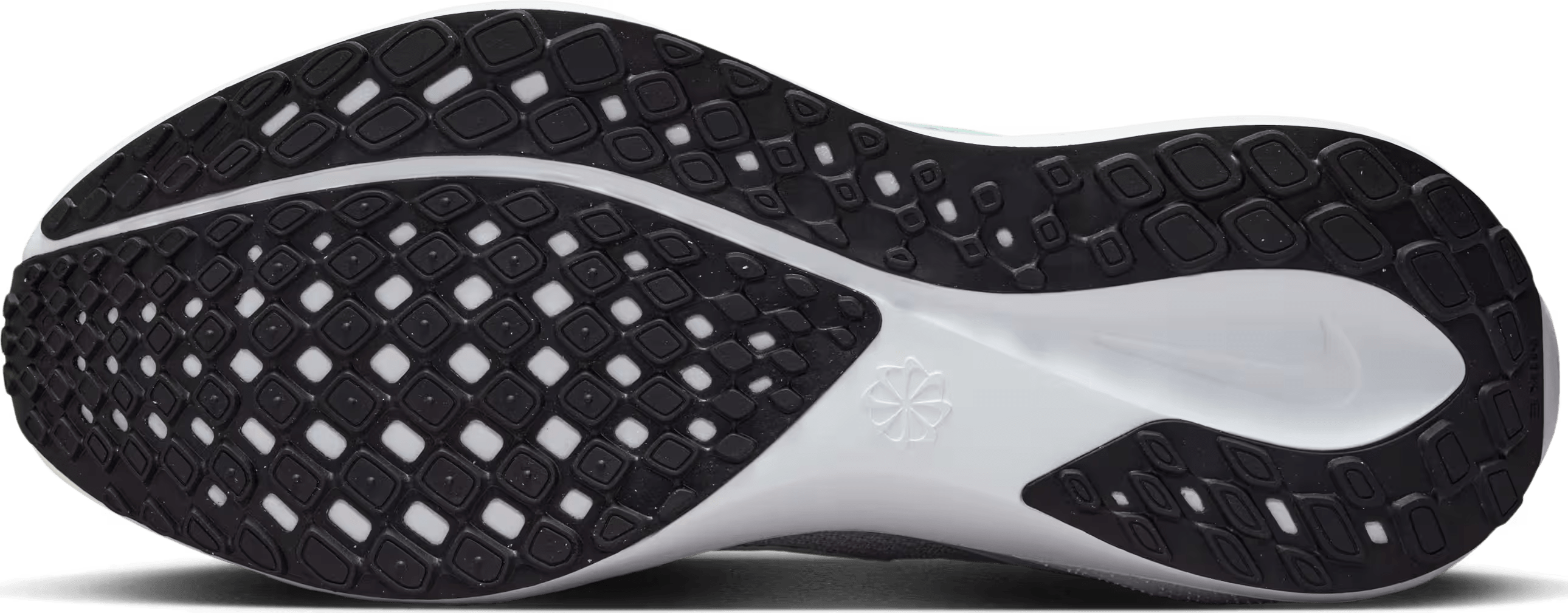 Nike Pegasus 41 Wmns "Mint Foam"