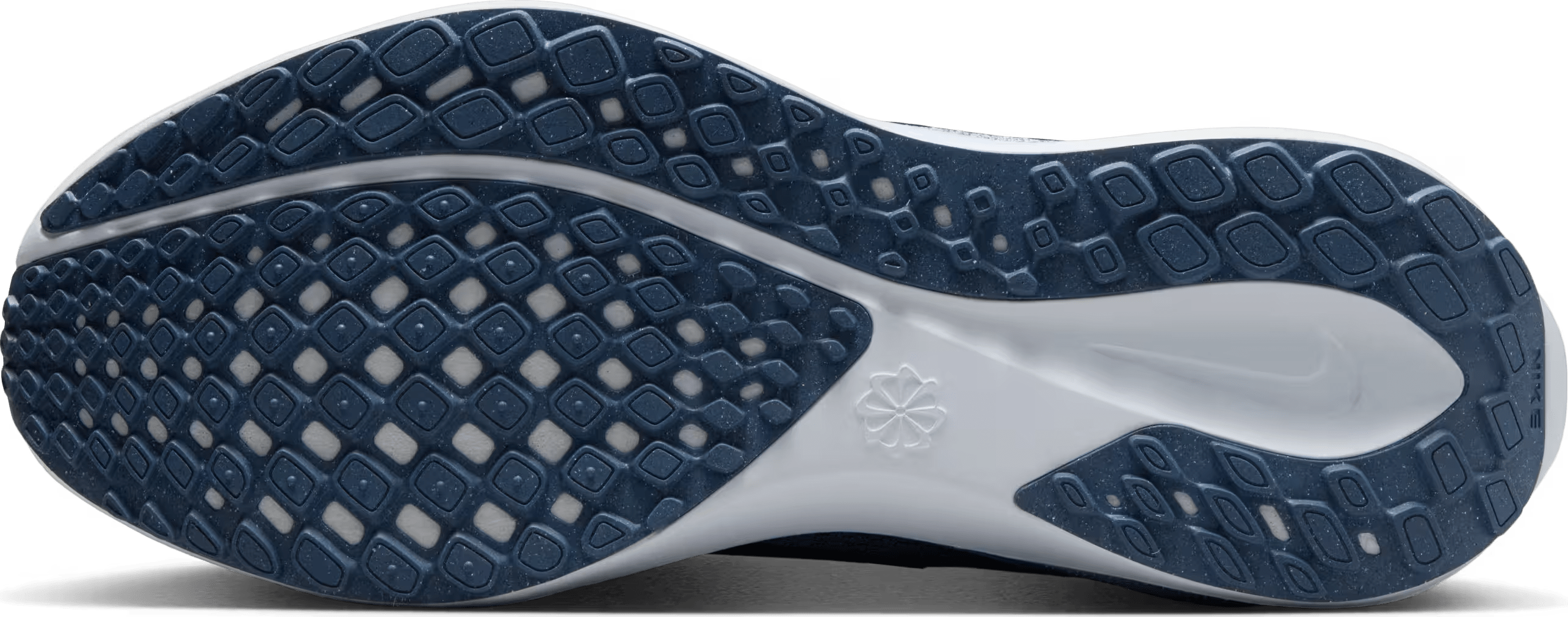 Nike Pegasus 41 Wmns "Aluminum"