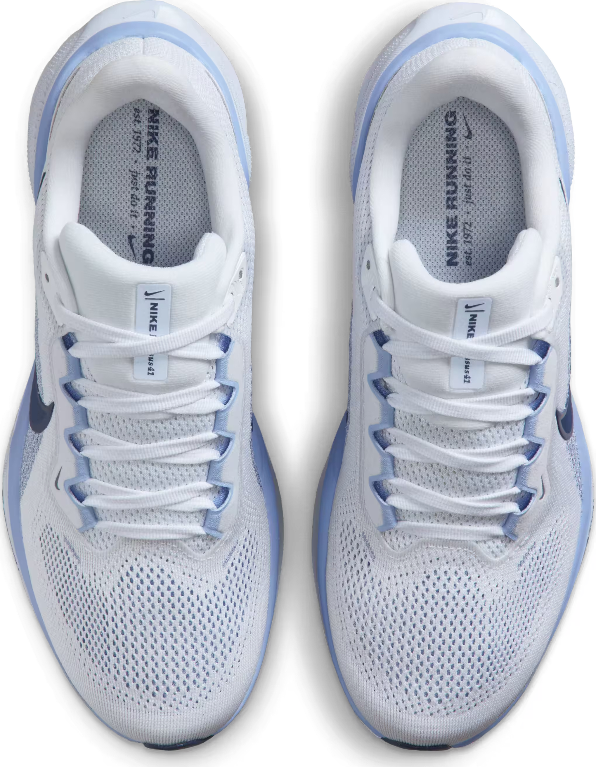 Nike Pegasus 41 Wmns "Aluminum"