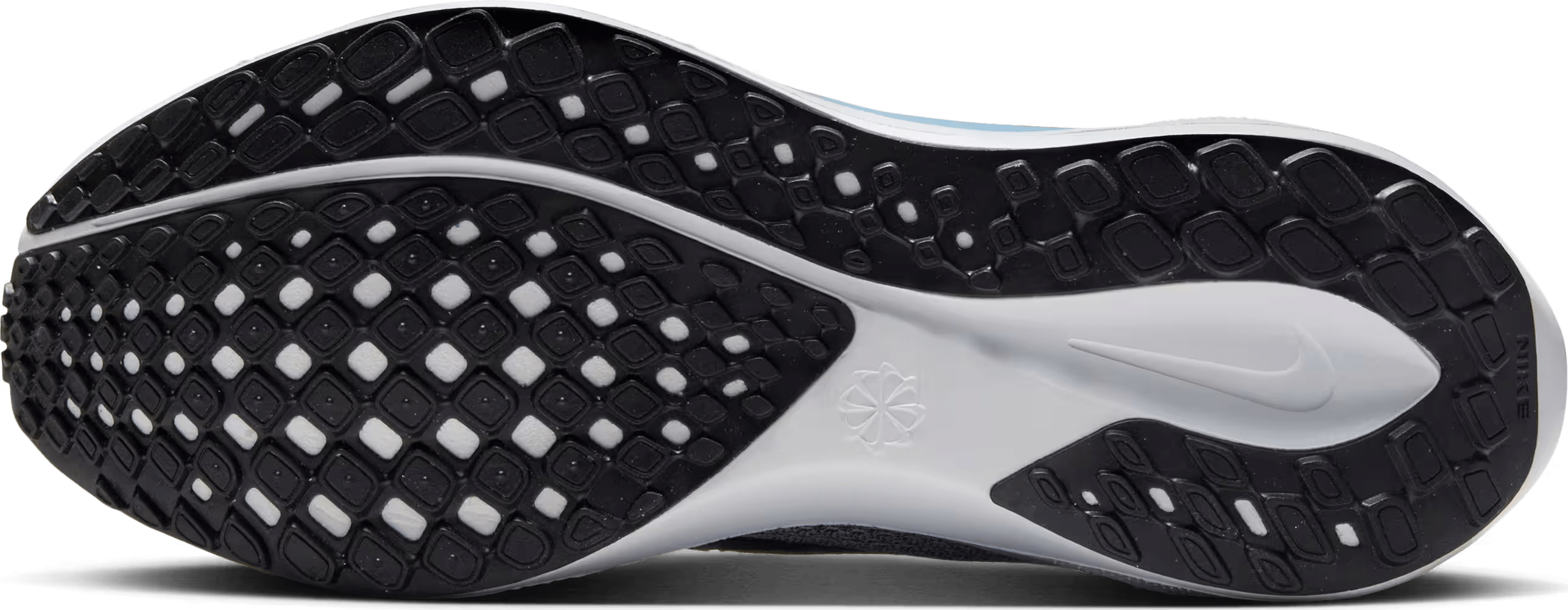 Nike Pegasus 41 Wmns "Blue Tint"