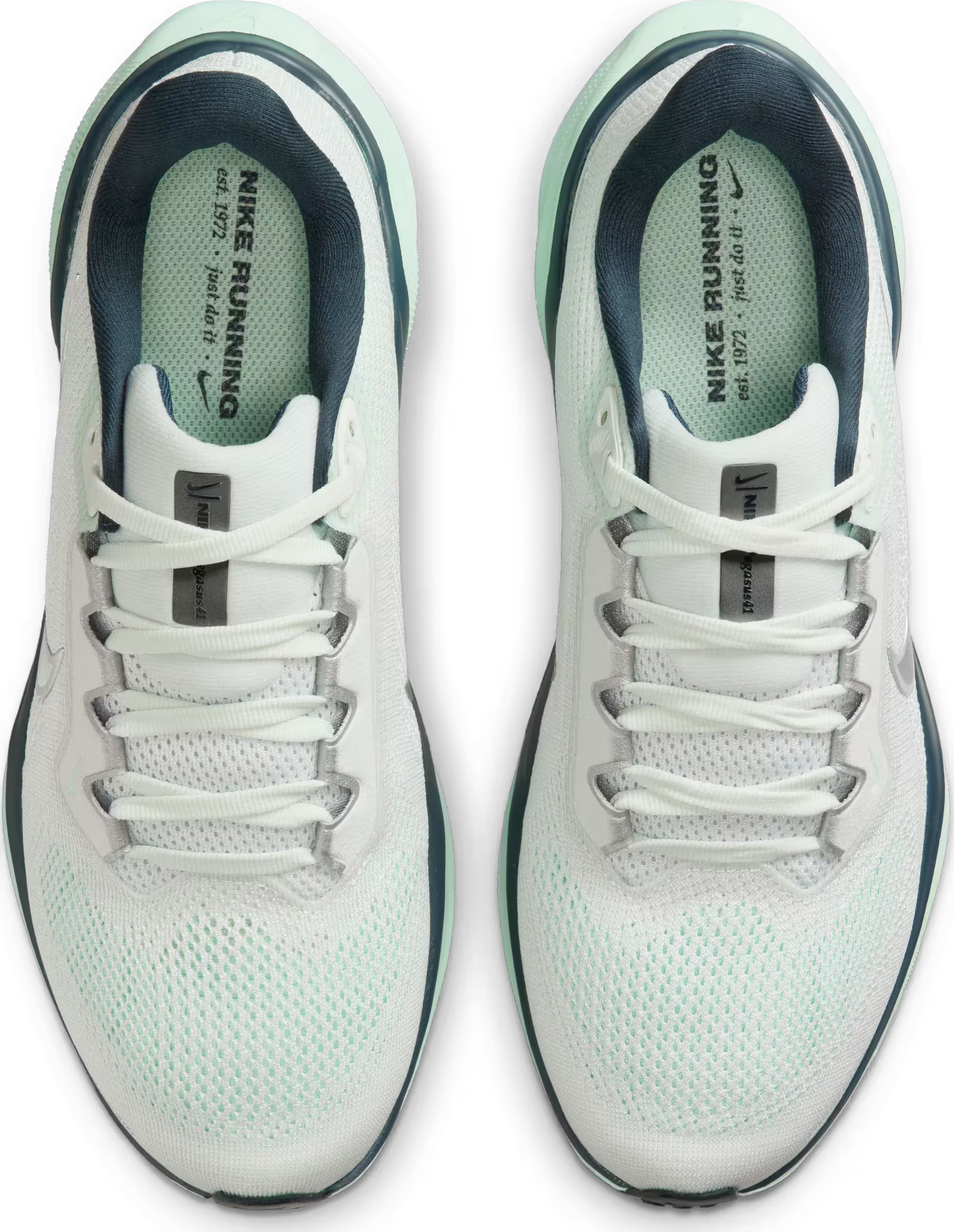 Nike Pegasus 41 Wmns "Ghost Aqua"