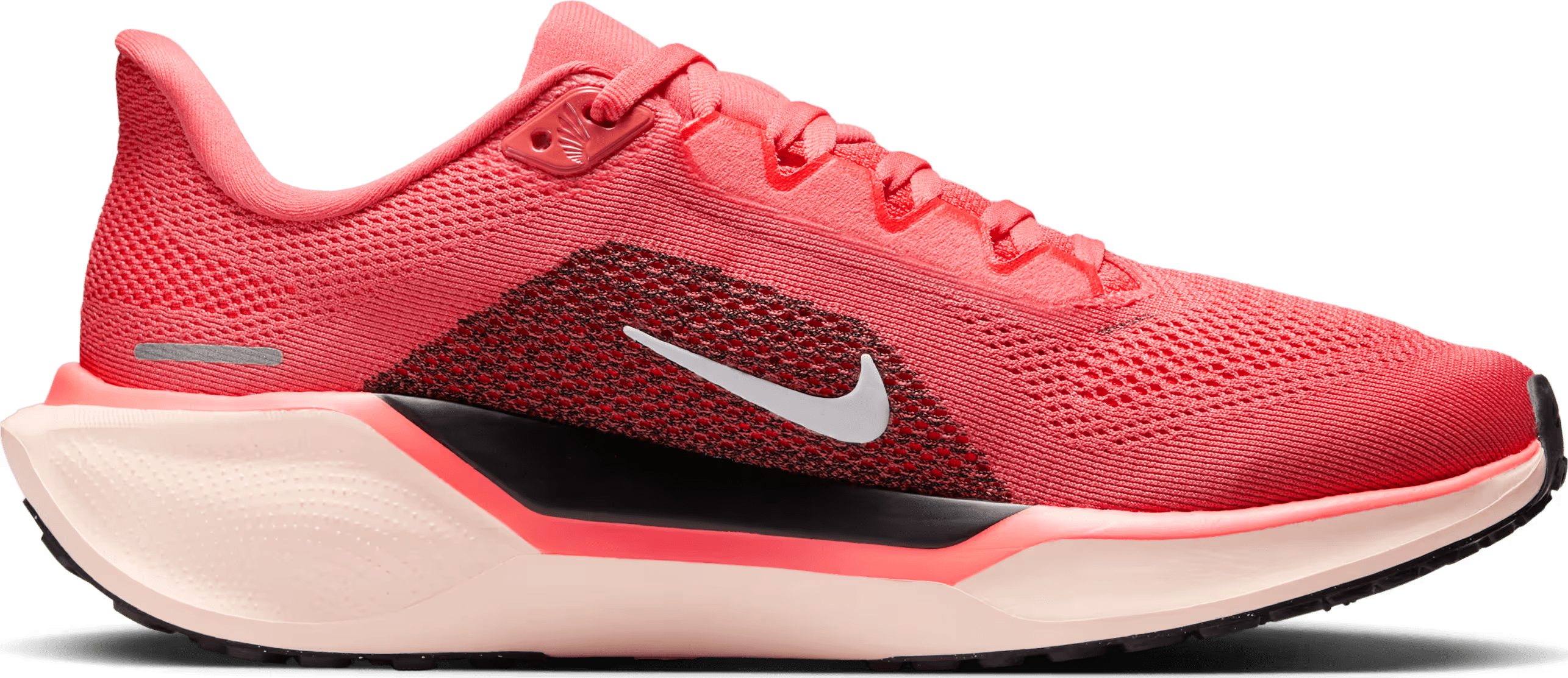Nike Pegasus 41