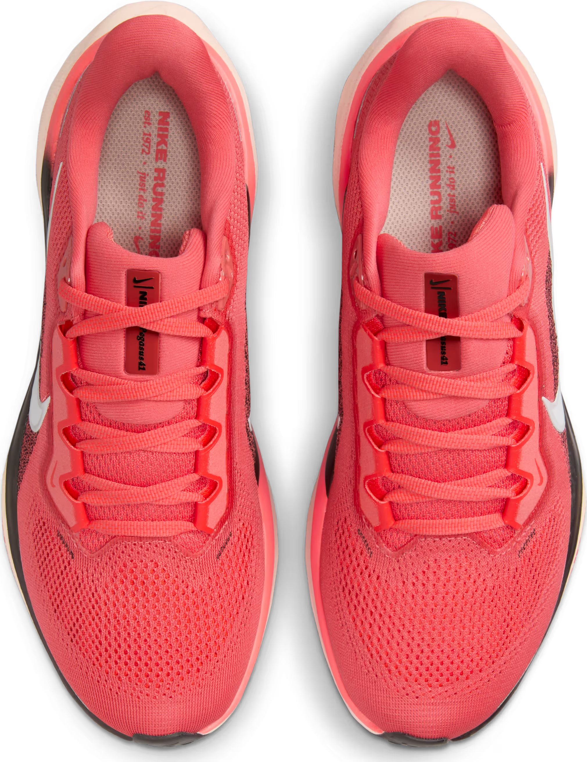 Nike Pegasus 41