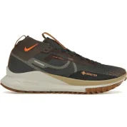 Nike React Pegasus Trail 4 GTX Anthracite