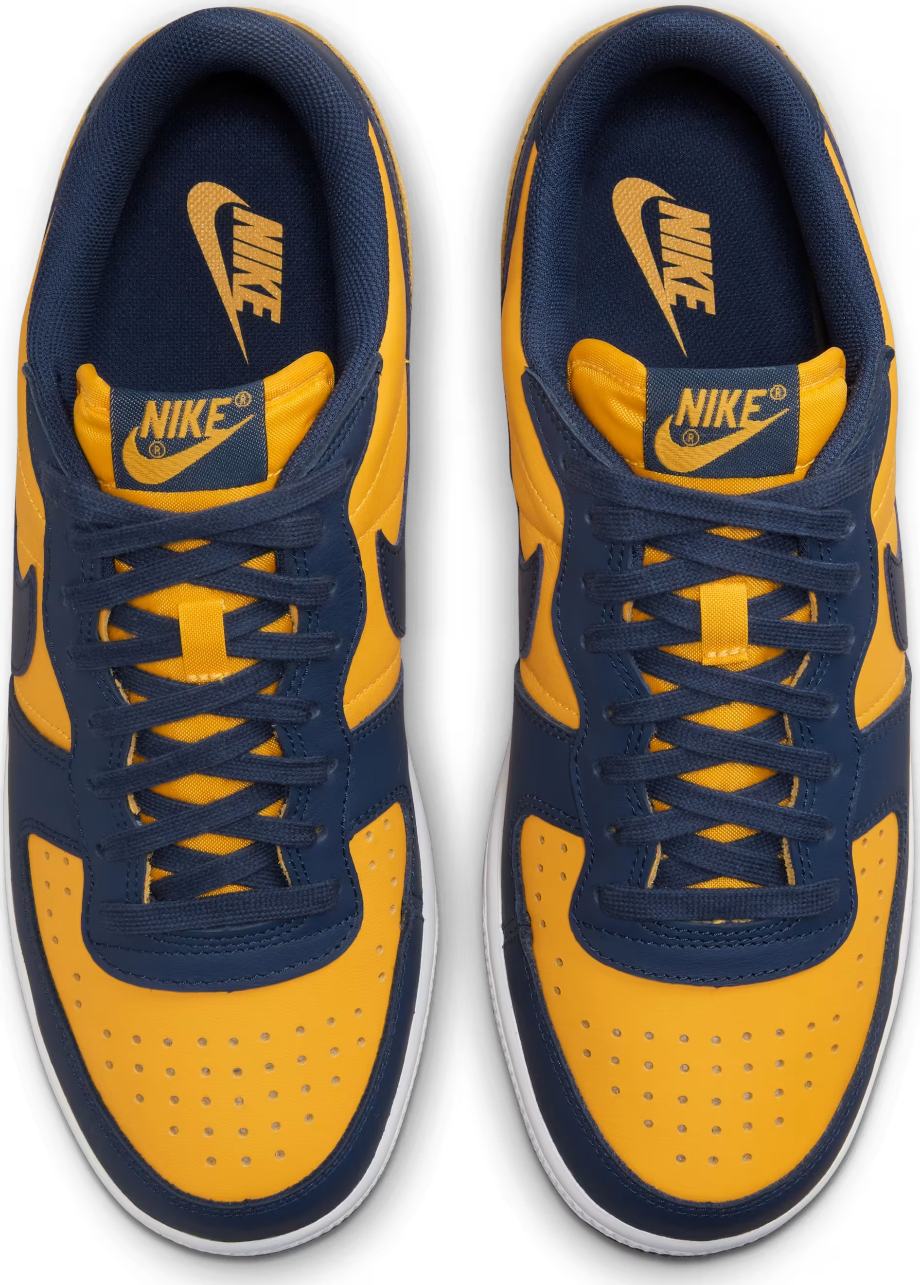 Nike Terminator Low "Michigan"