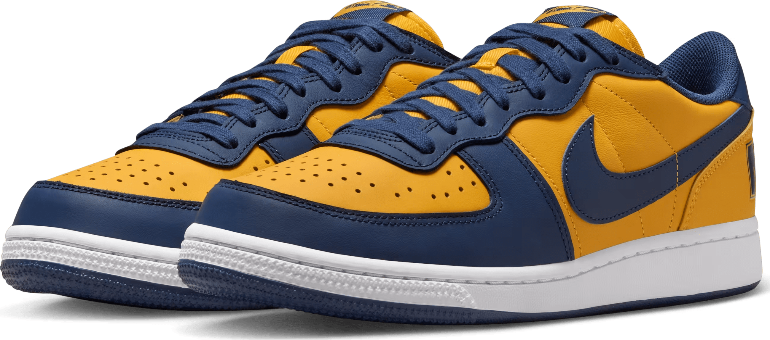 Nike Terminator Low "Michigan"