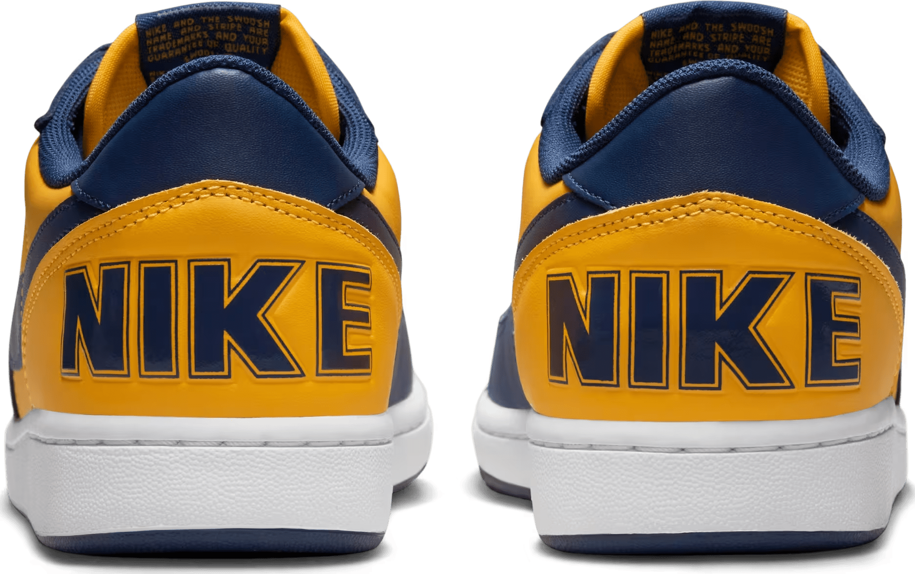Nike Terminator Low "Michigan"