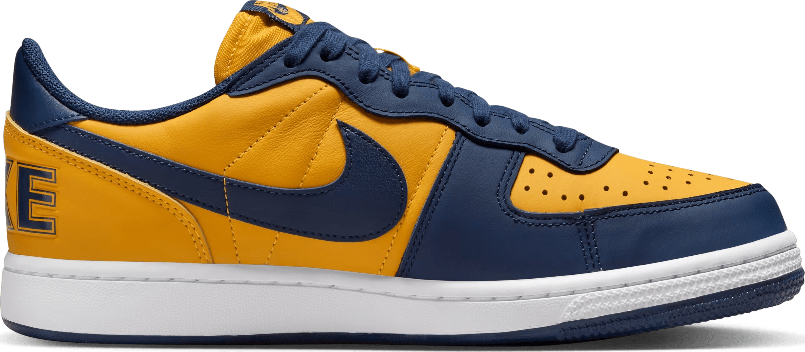 Nike Terminator Low "Michigan"