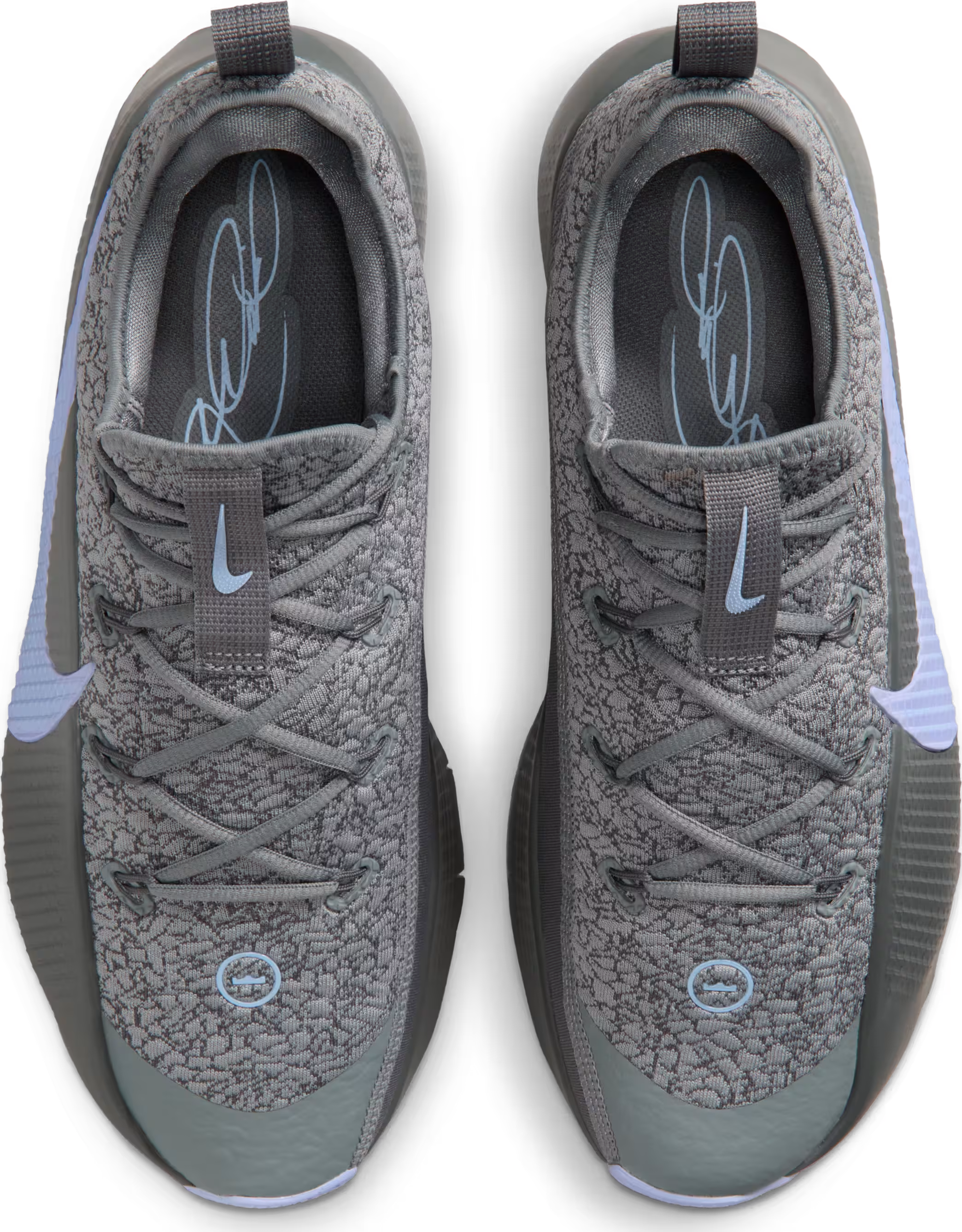 Nike LeBron TR 1 Cool Grey Aluminum