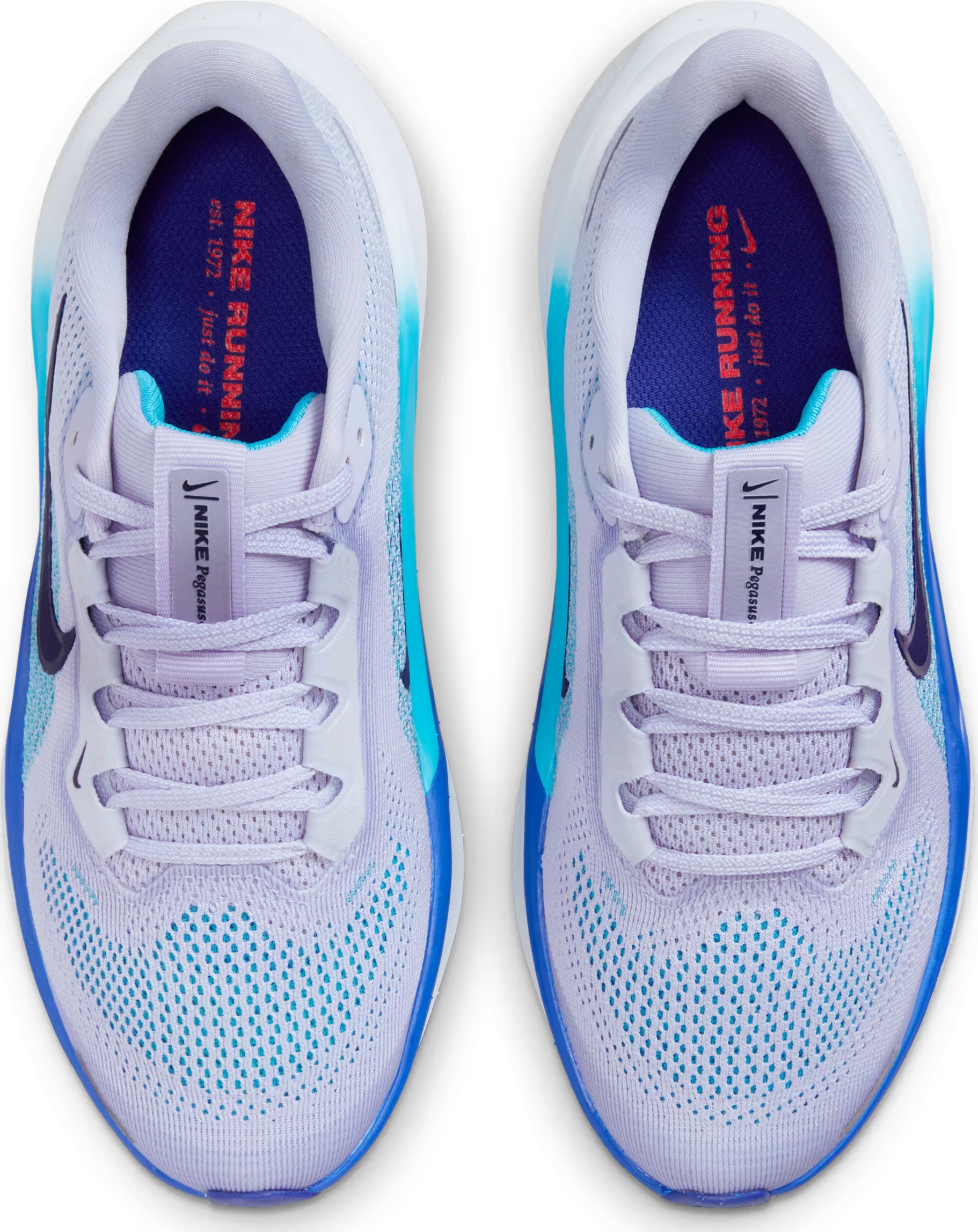 Nike Air Zoom Pegasus 41 Ghost Football Grey Deep Night Blue Void (GS)