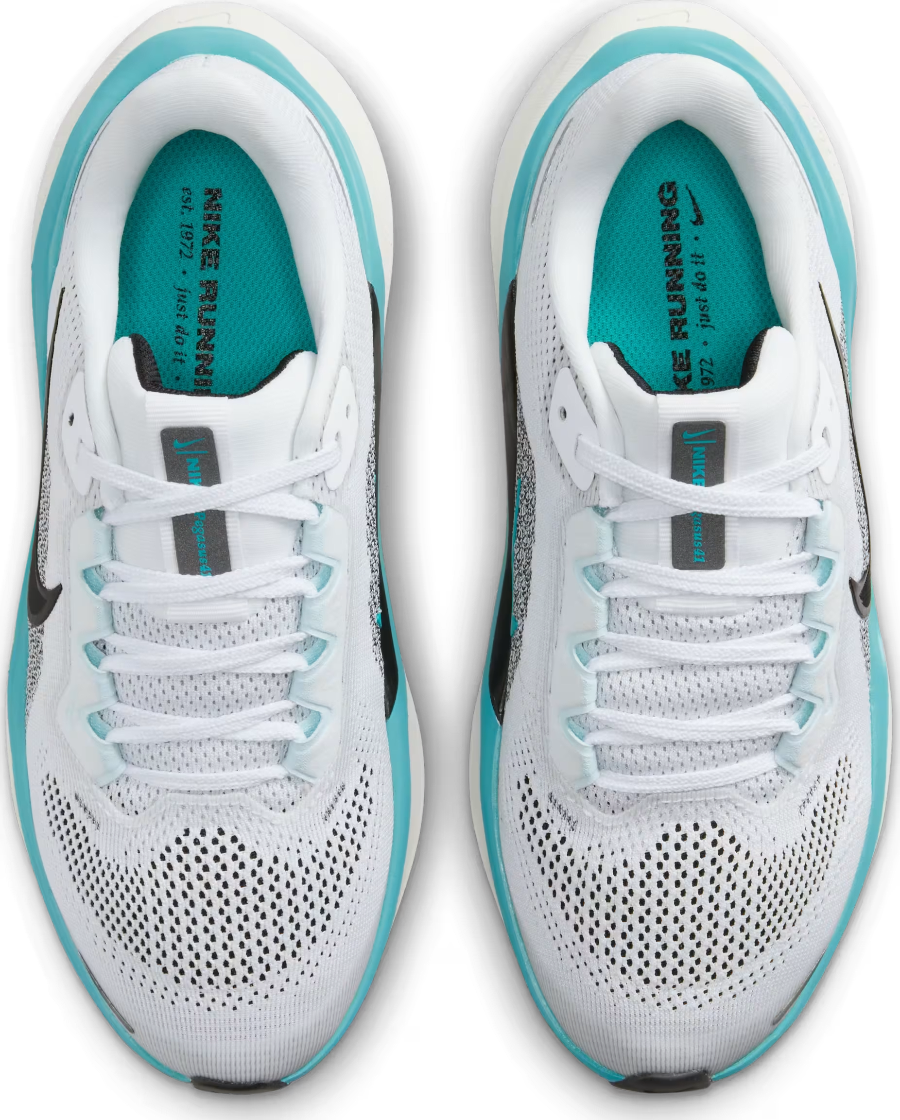 Nike Air Zoom Pegasus 41 White Dusty Cactus Glacier Blue Black (GS)