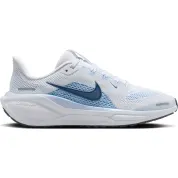 Nike Pegasus 41