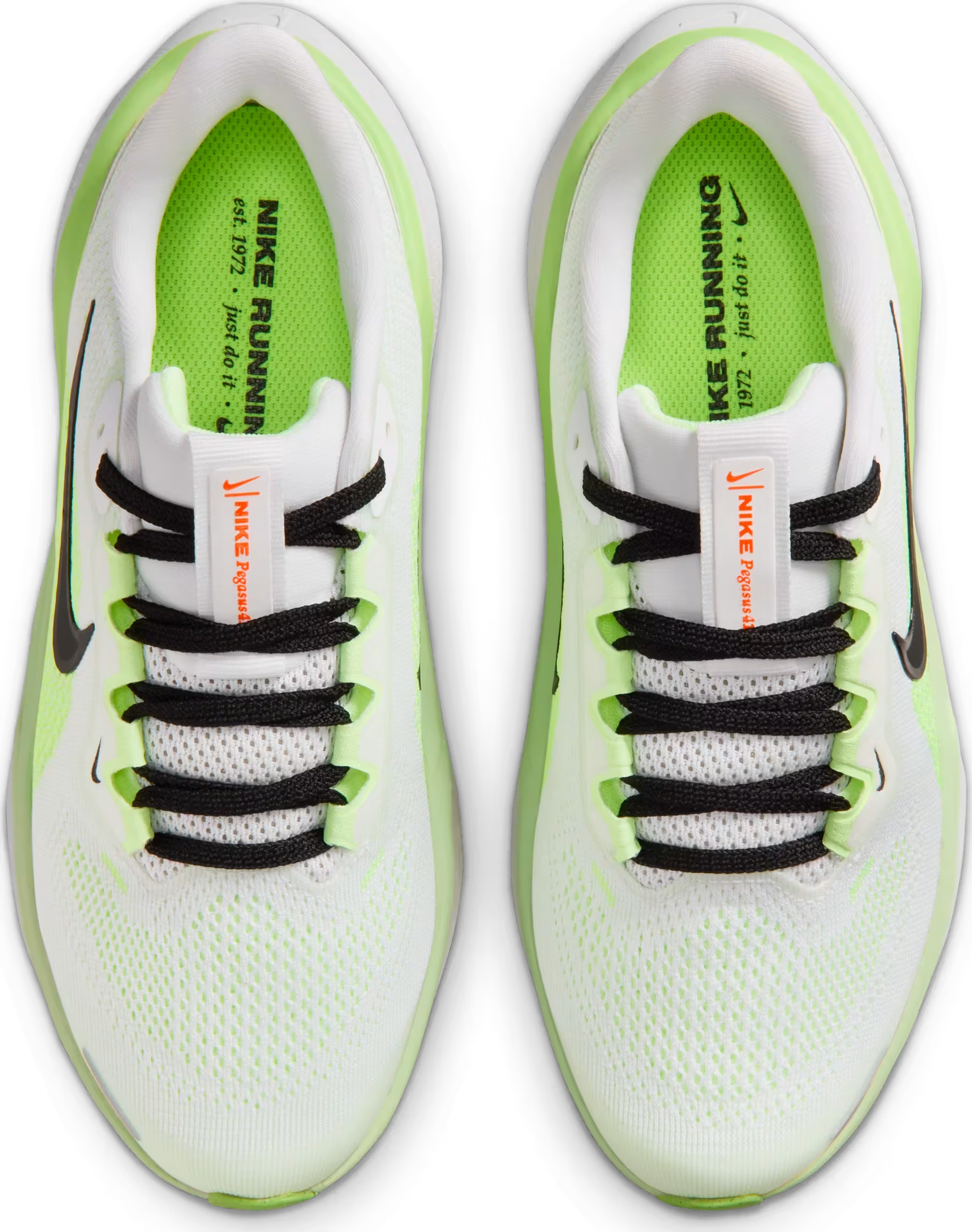 Nike Pegasus 41