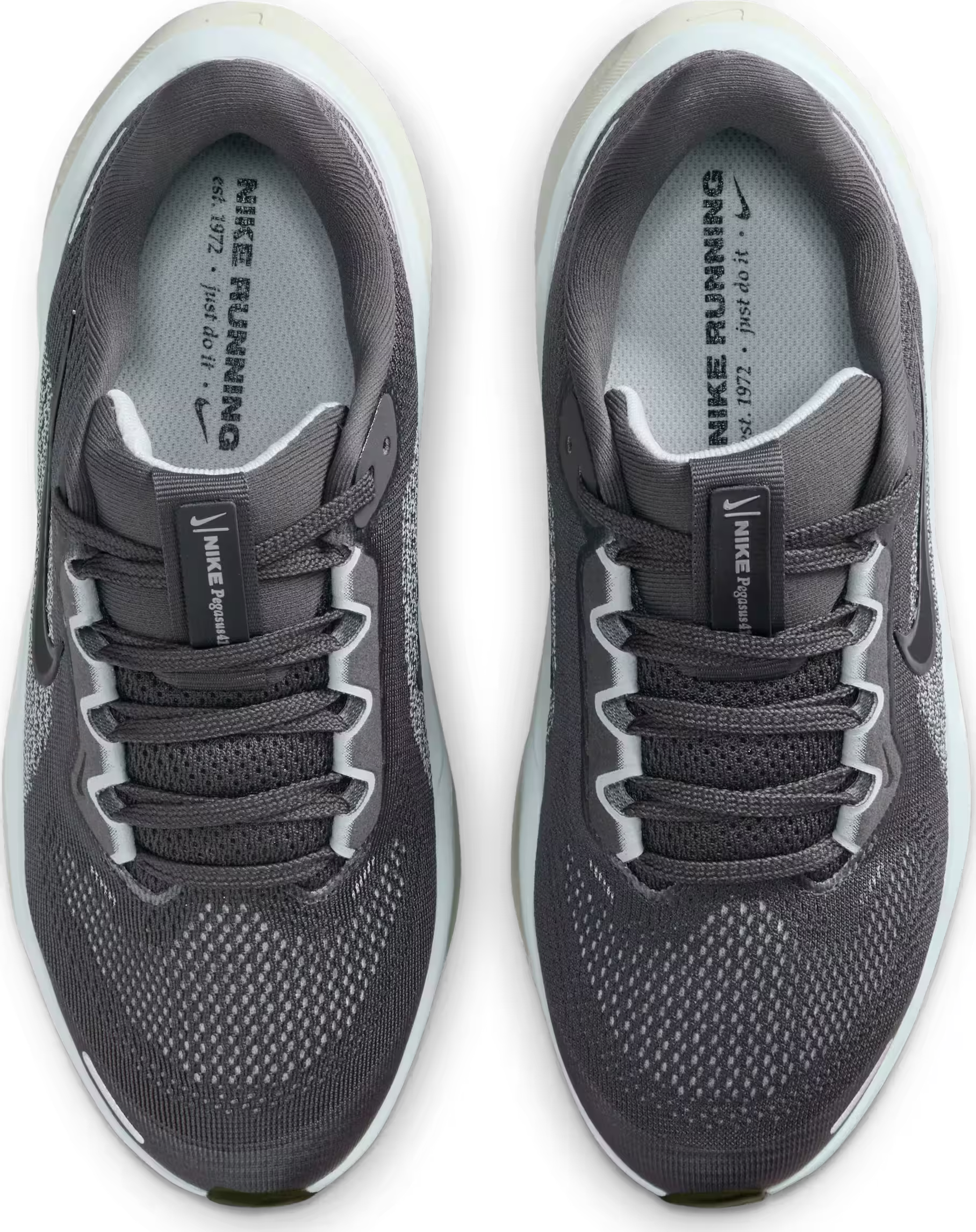 Nike Air Zoom Pegasus 41 Medium Ash Pale Ivory Black (GS)