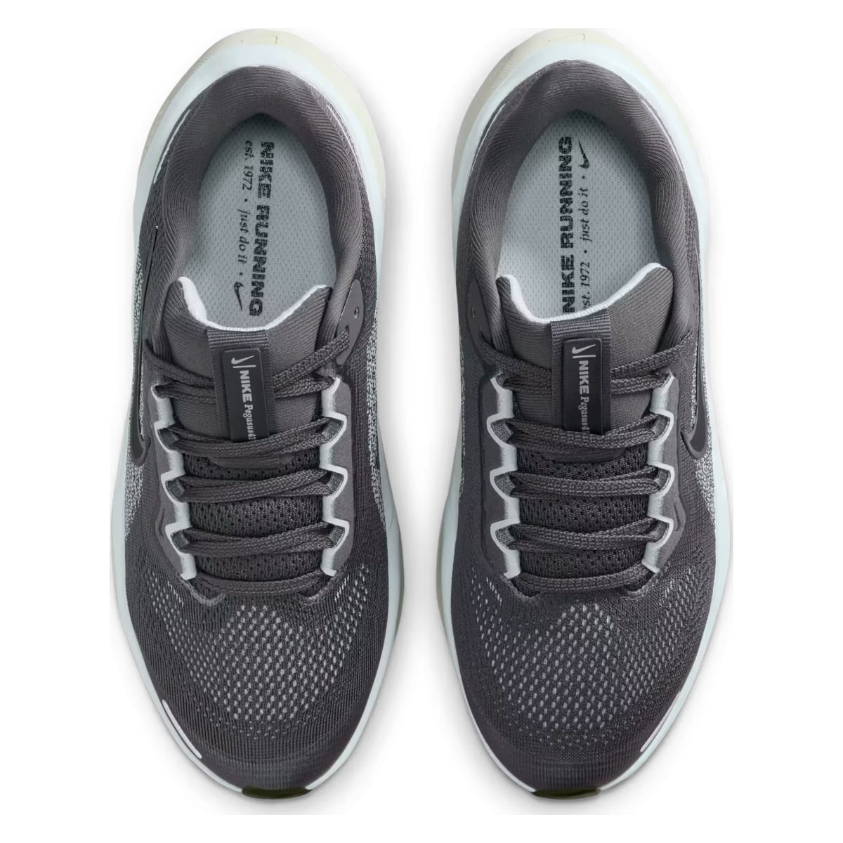 Nike Air Zoom Pegasus 41 Medium Ash Pale Ivory Black (GS)