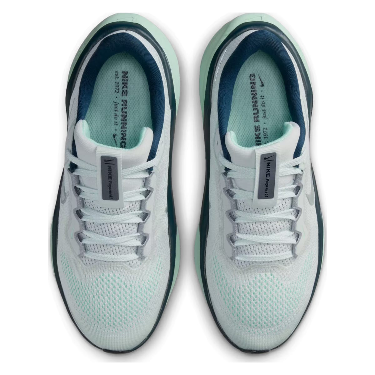 Nike Pegasus 41