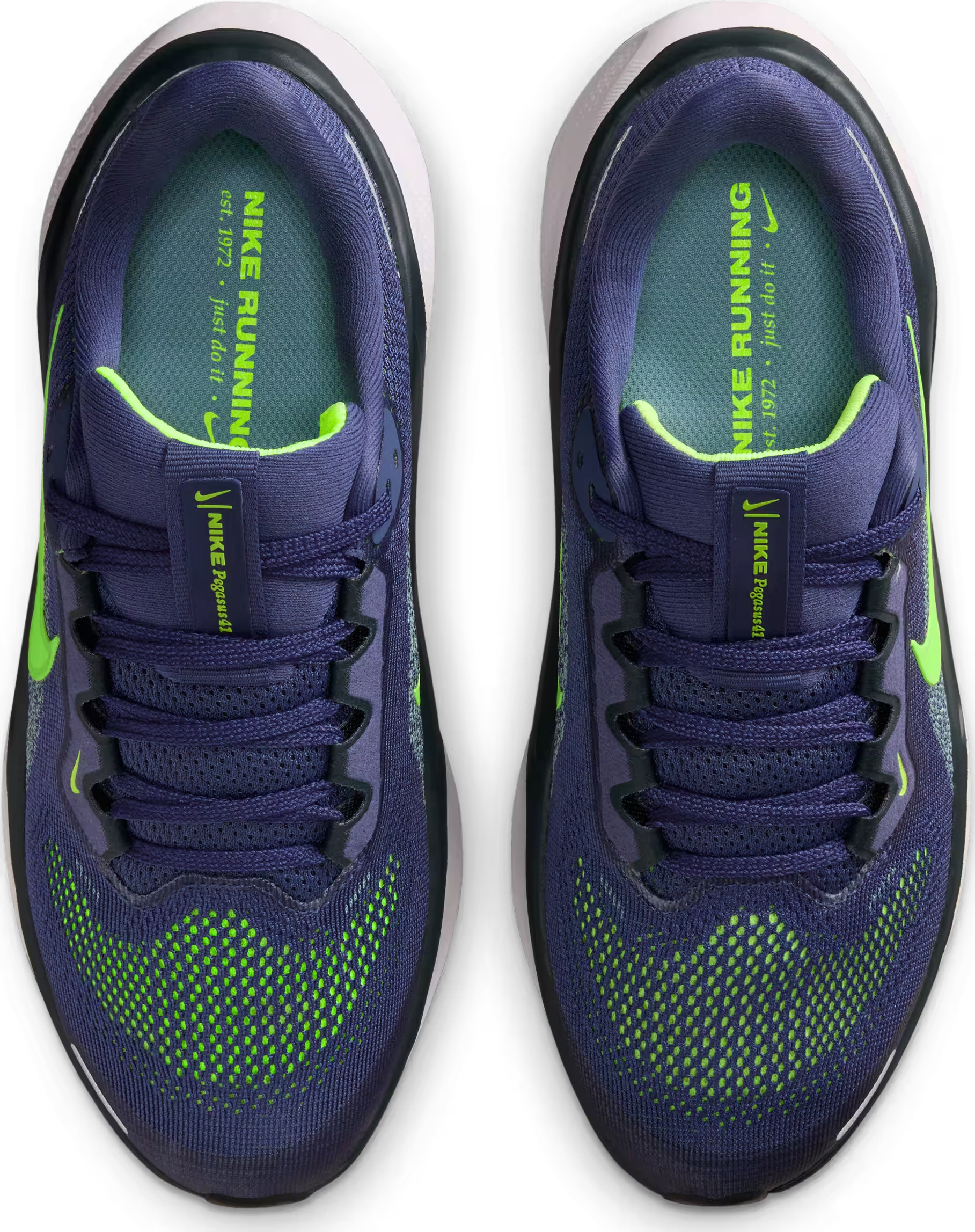 Nike Air Zoom Pegasus 41 Sanded Purple Seaweed Volt (GS)