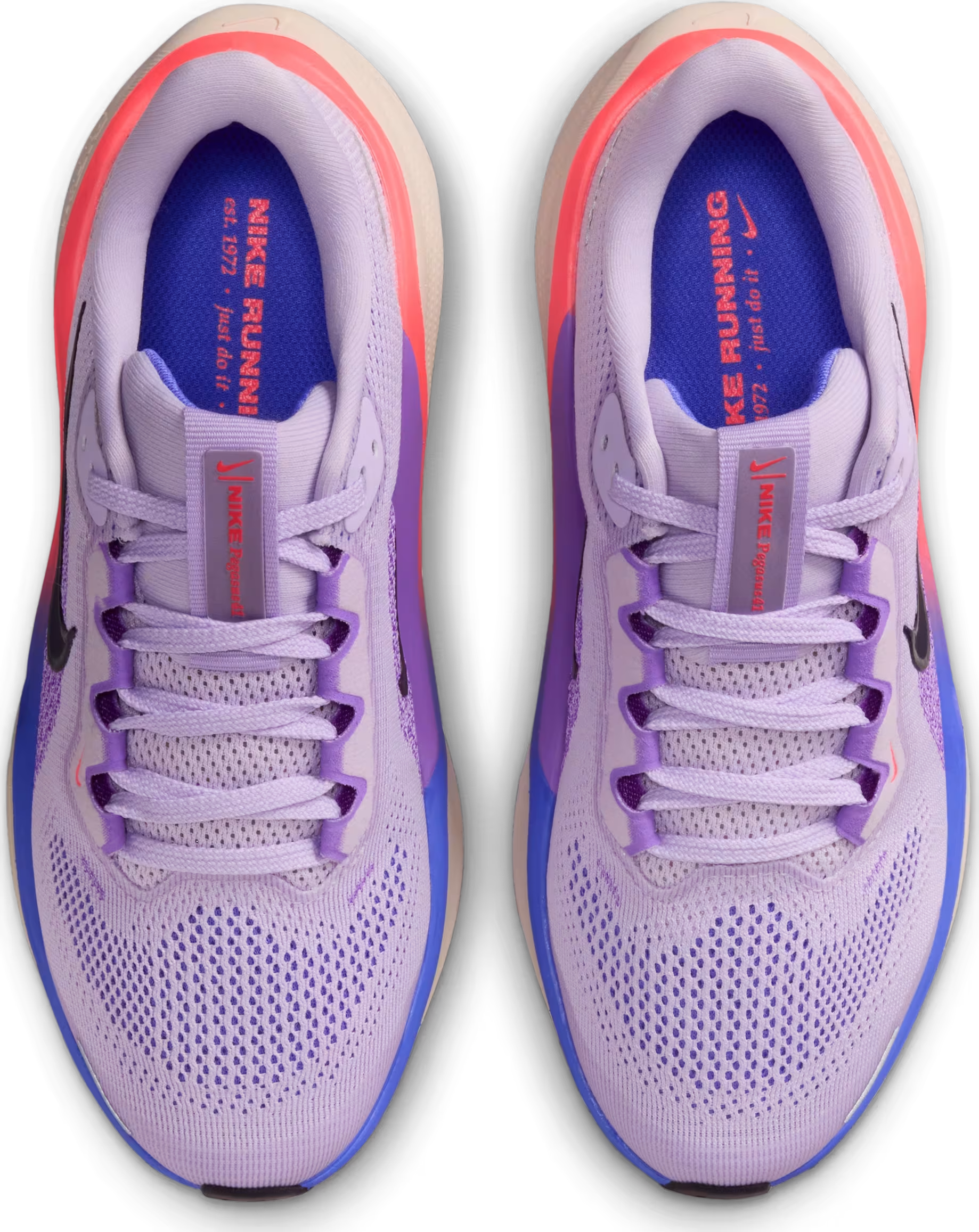 Nike Air Zoom Pegasus 41 Violet Mist Purple Dynasty (GS)