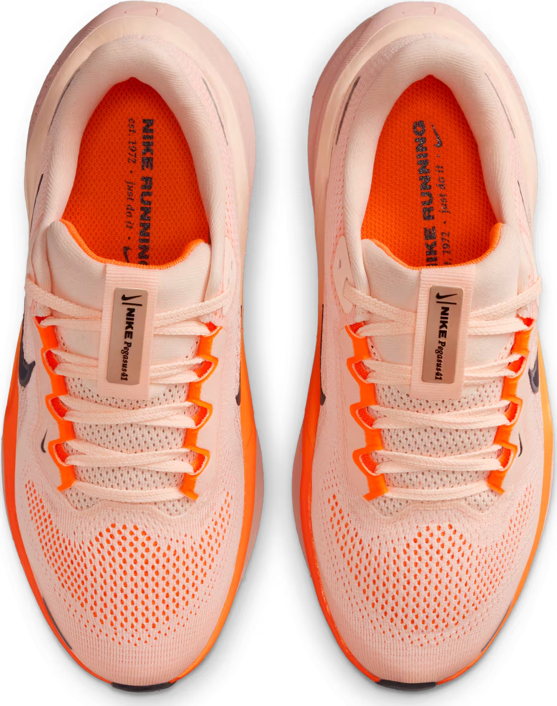 Nike Air Zoom Pegasus 41 Crimson Tint Washed Coral Total Orange Gridiron (GS)