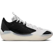 Air Jordan XXXIX "Barons"