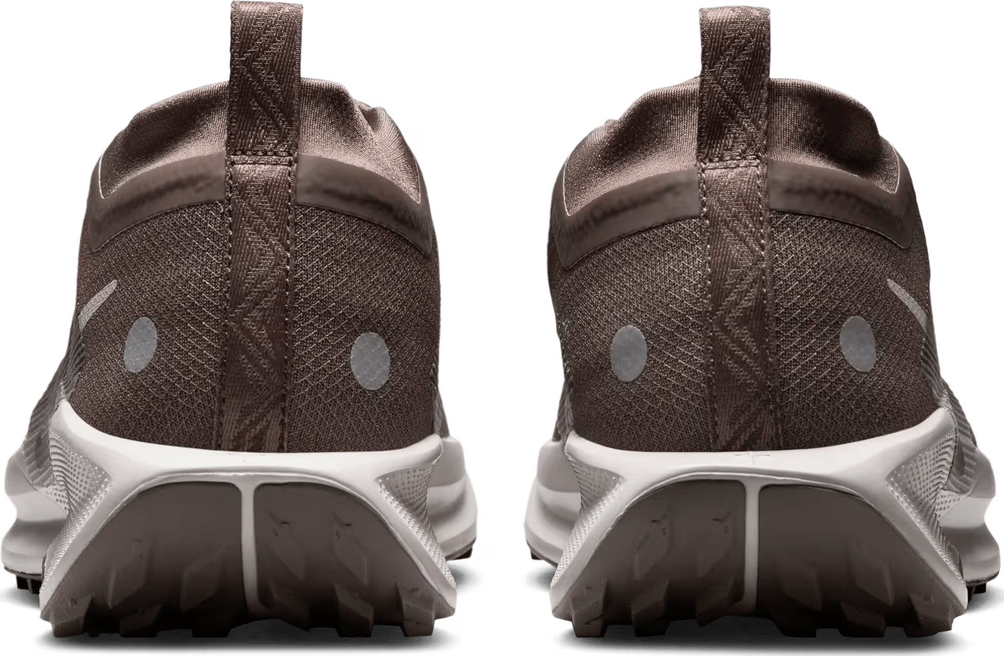 Nike Pegasus Trail 5 GORE-TEX "Ironstone"