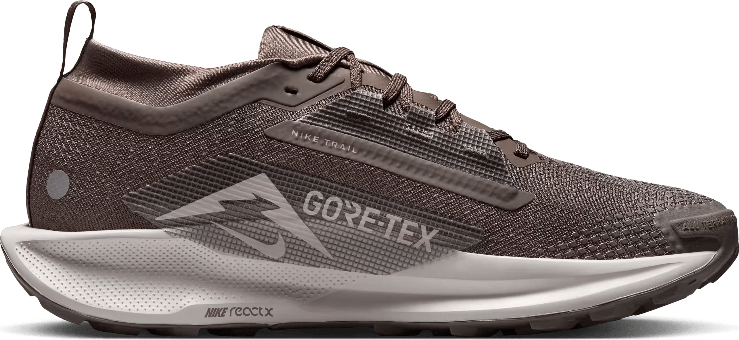 Nike Pegasus Trail 5 GORE-TEX "Ironstone"