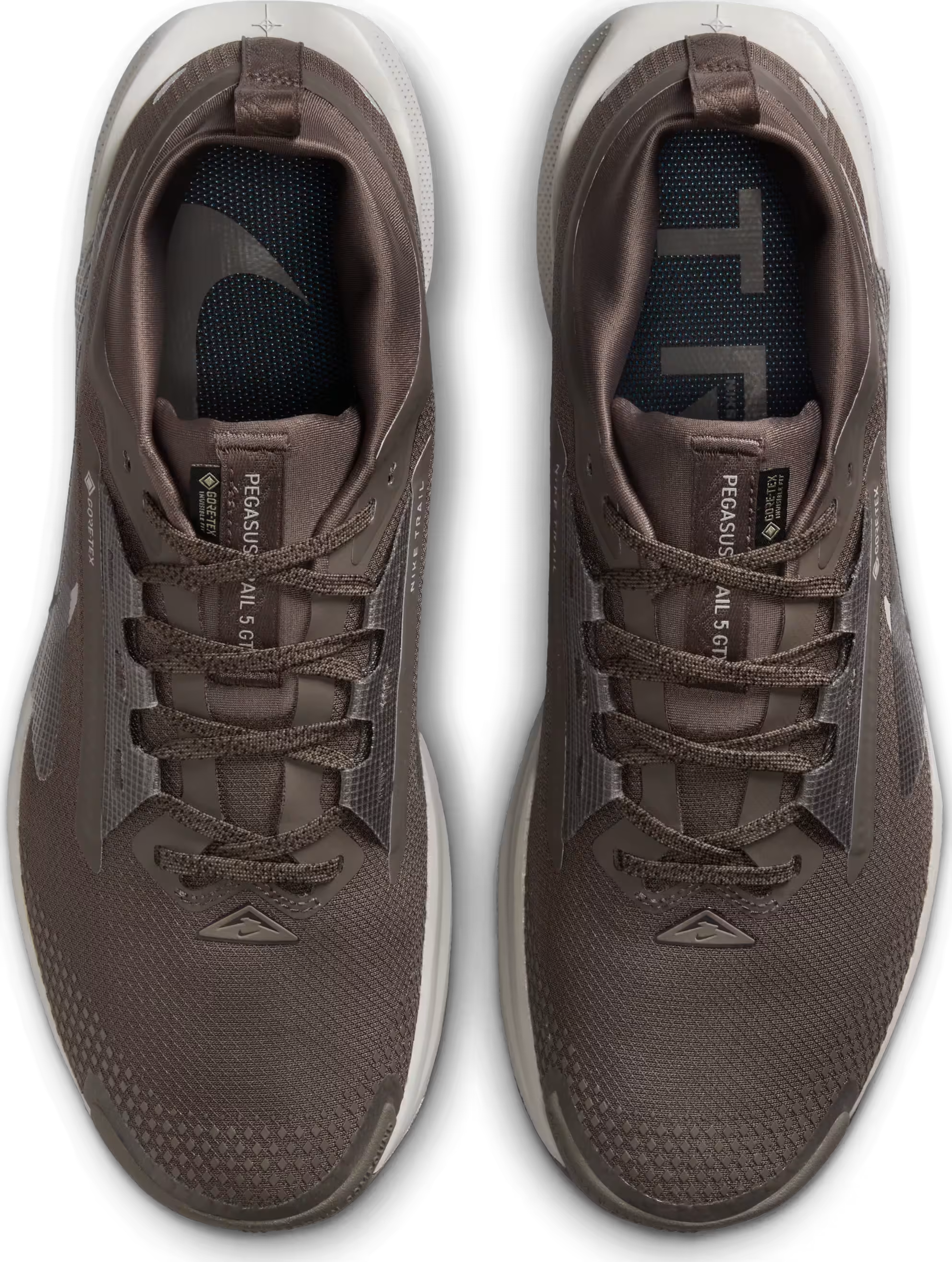 Nike Pegasus Trail 5 GORE-TEX "Ironstone"