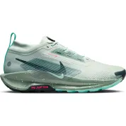 Nike React Pegasus Trail 5 Gore-Tex Light Silver Clay Green