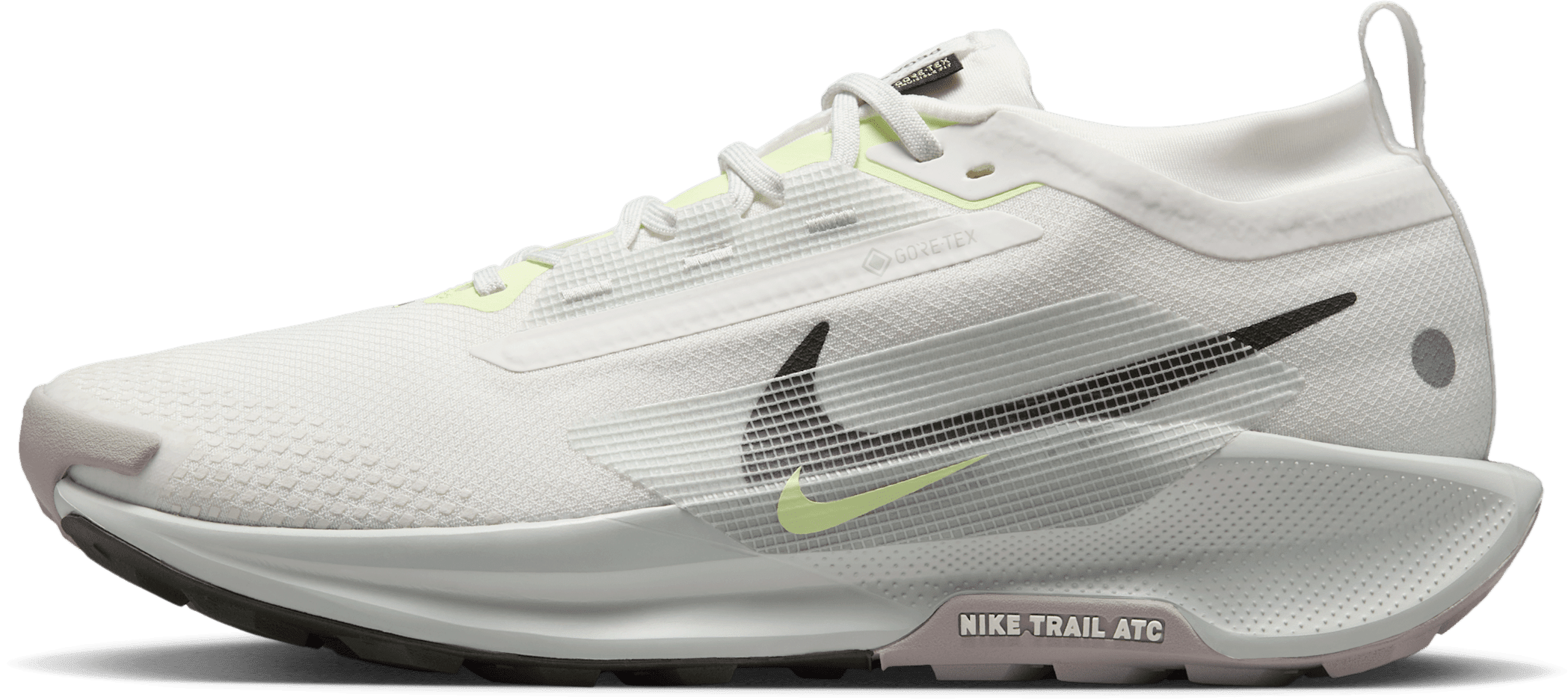 Nike Pegasus Trail 5 Gore-Tex Summit White Light Silver College Grey Sequoia