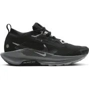 Nike Pegasus Trail 5 GORE-TEX Wmns "Black Anthracite"