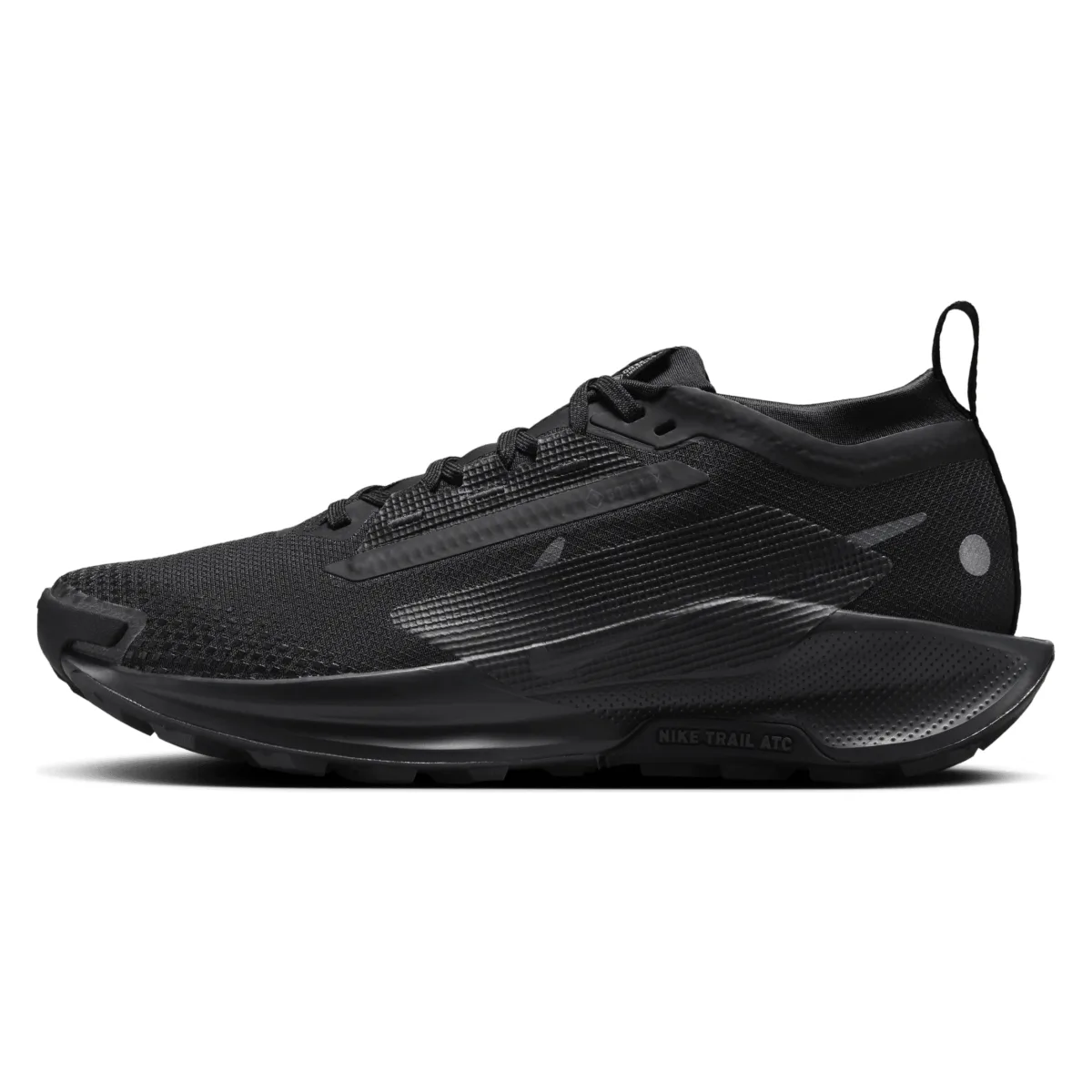 Nike Pegasus Trail 5 GORE-TEX