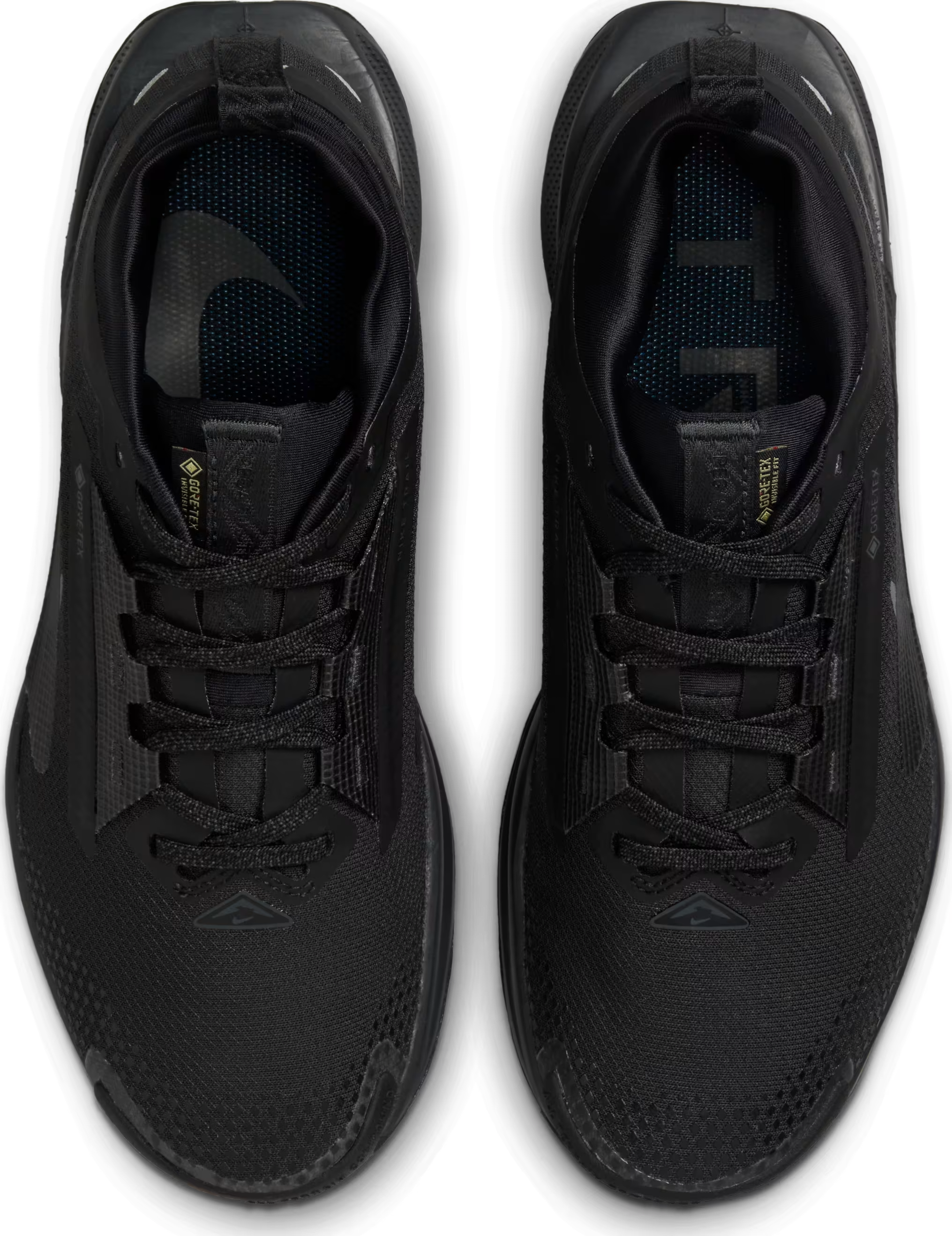 Nike Pegasus Trail 5 GORE-TEX