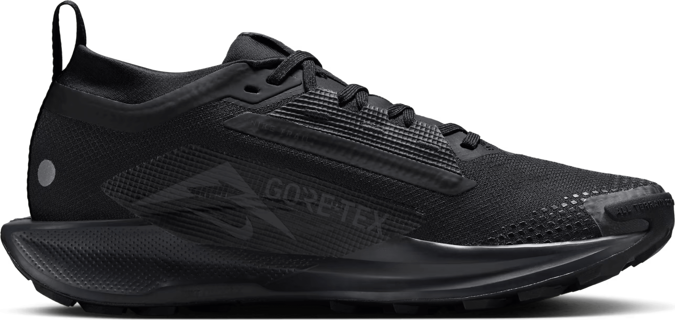 Nike Pegasus Trail 5 GORE-TEX