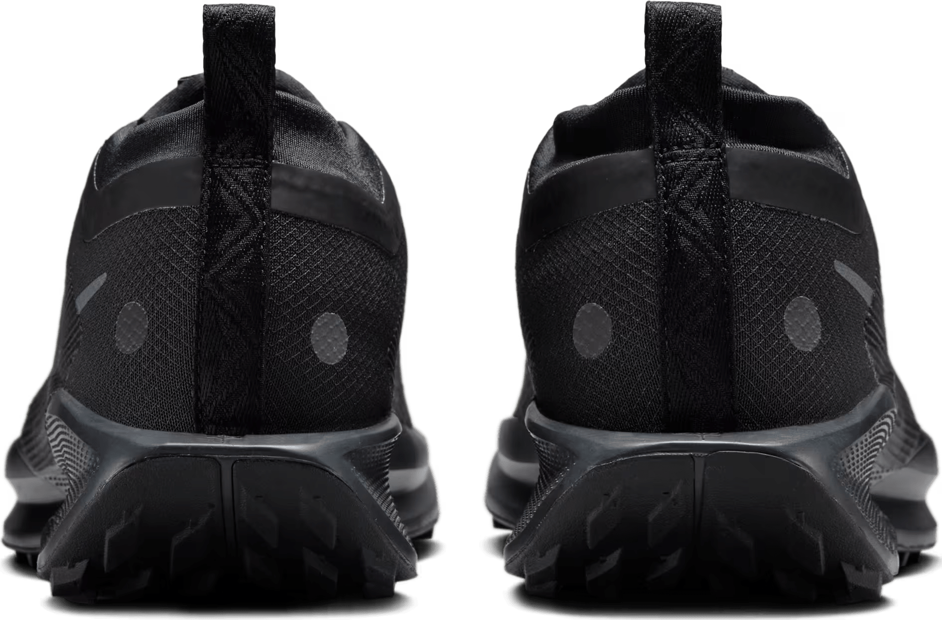Nike Pegasus Trail 5 GORE-TEX