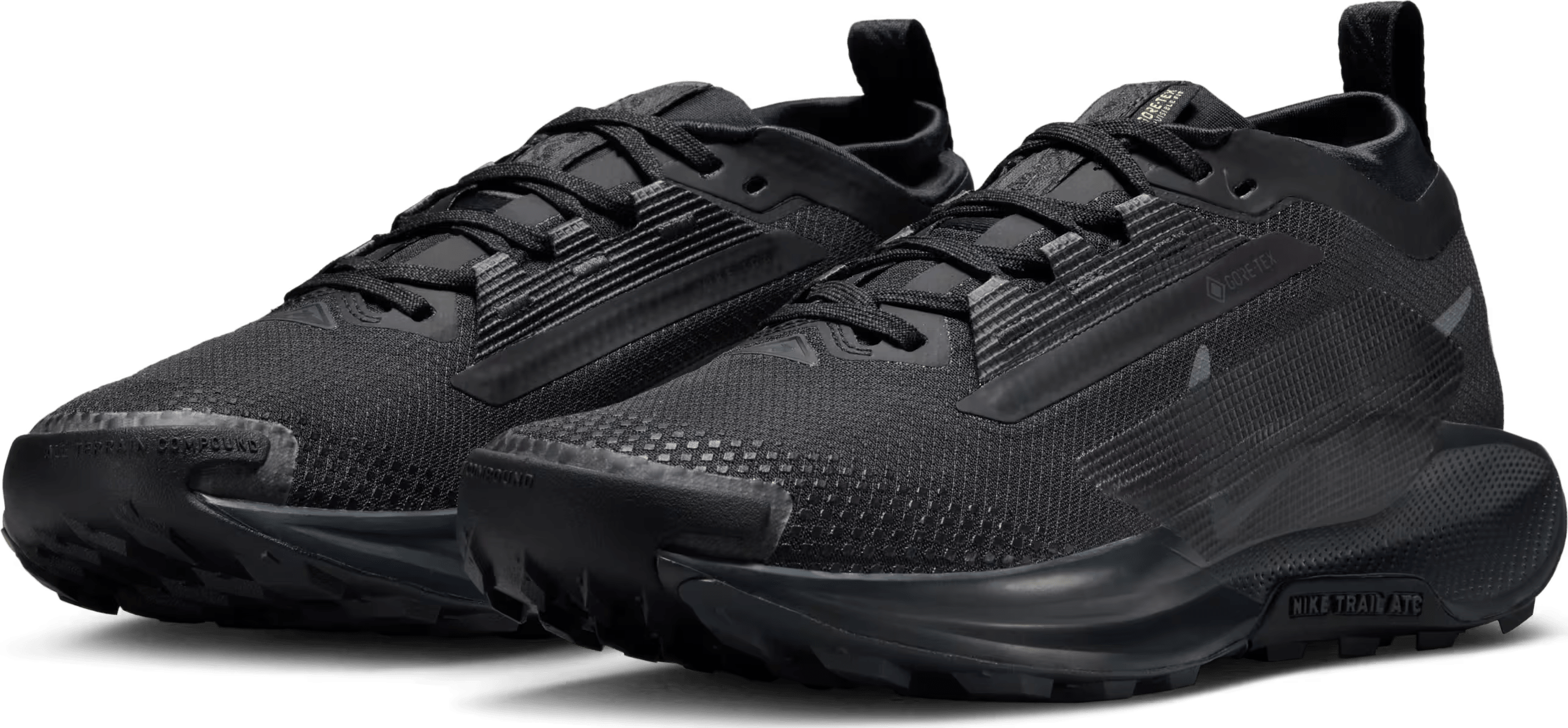 Nike Pegasus Trail 5 GORE-TEX