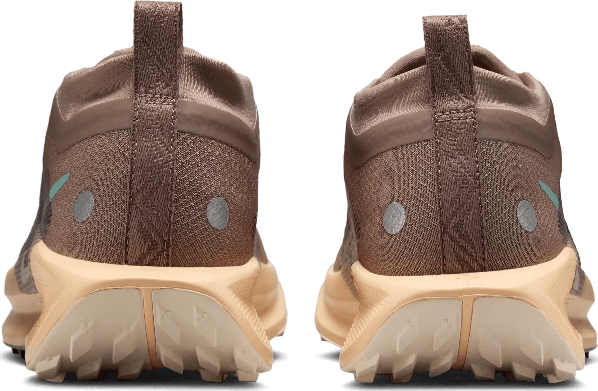 Nike Pegasus Trail 5 GORE-TEX Wmns "Mink Brown"