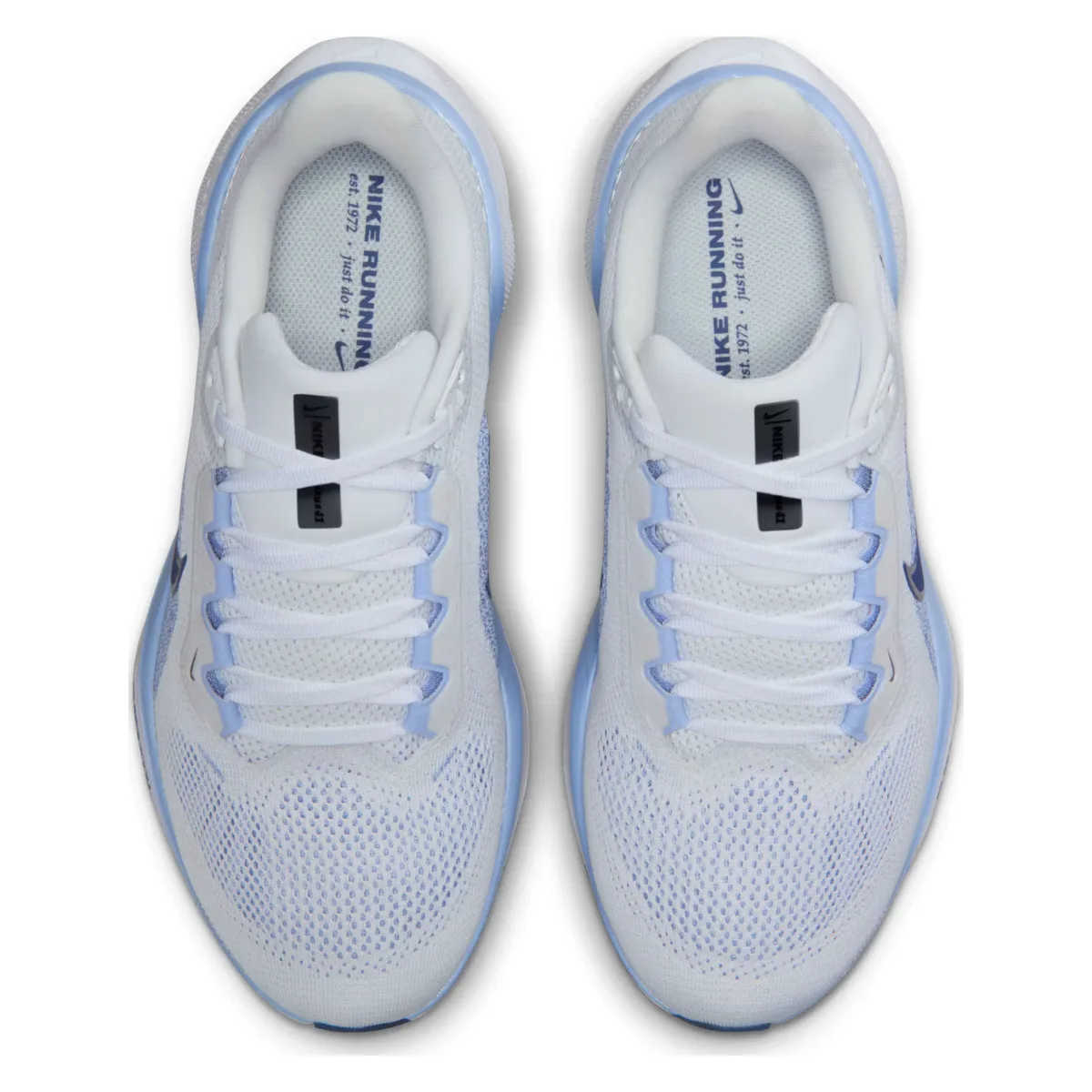 Nike Pegasus 41
