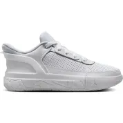 Jordan DAY1 EO White Summit White Pure Platinum (GS)