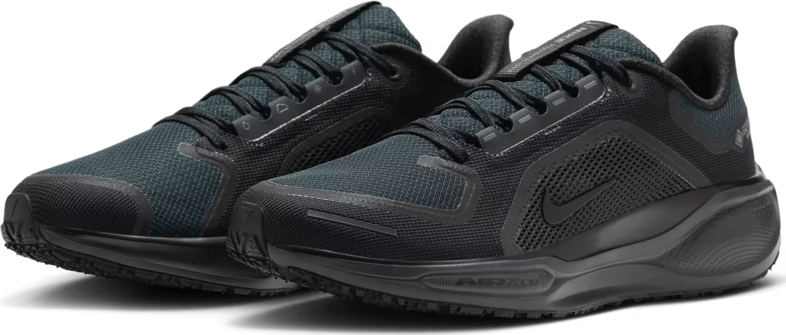 Nike Pegasus 41 GORE-TEX "Black"