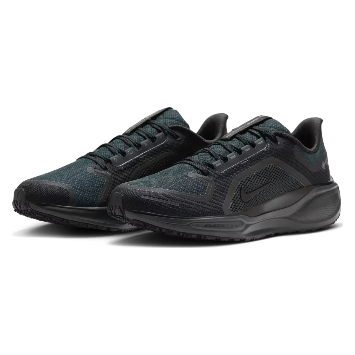 Nike Pegasus 41 GORE-TEX "Black"