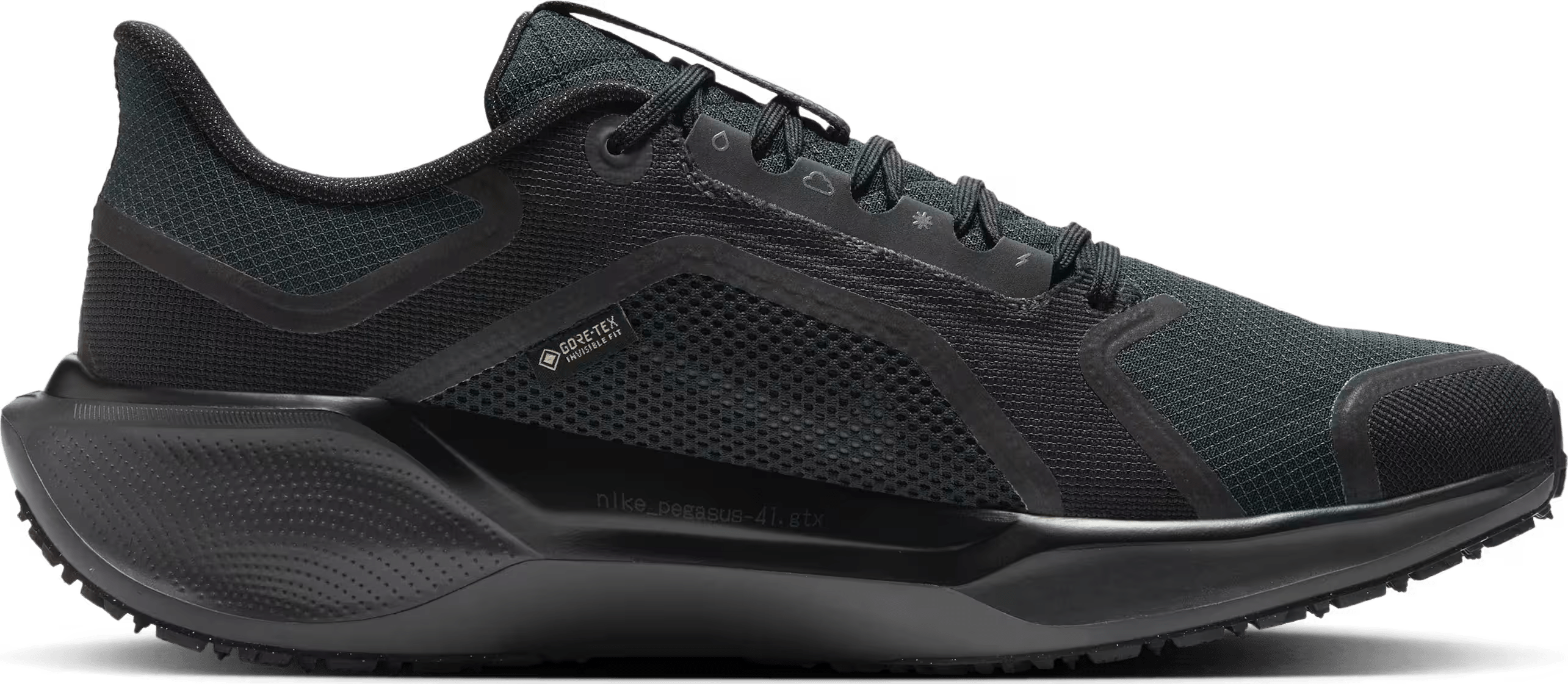 Nike Pegasus 41 GORE-TEX "Black"
