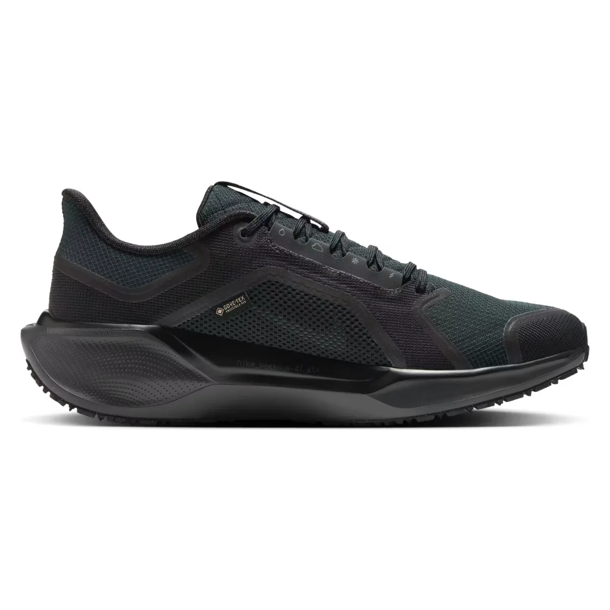 Nike Pegasus 41 GORE-TEX "Black"