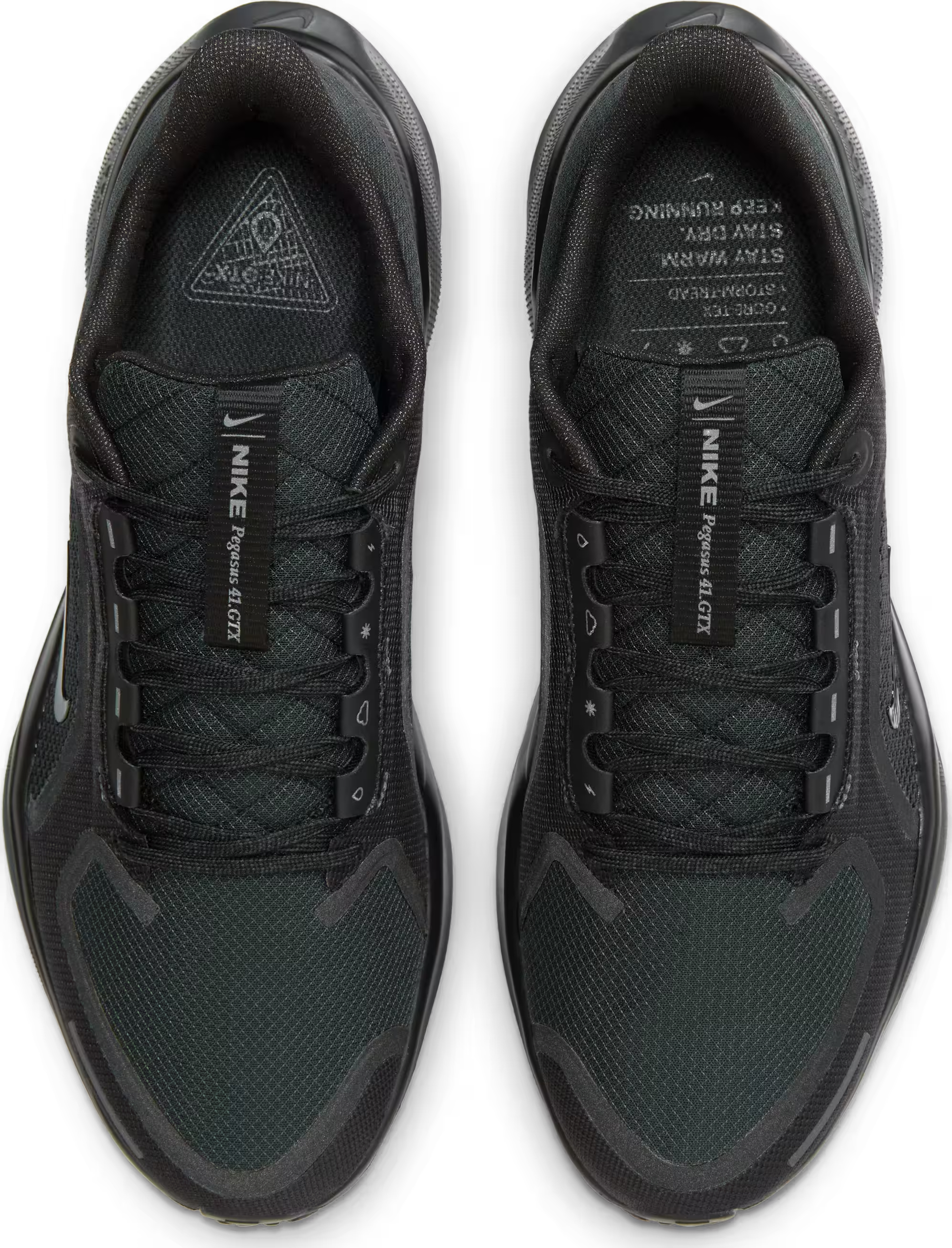 Nike Pegasus 41 GORE-TEX "Black"