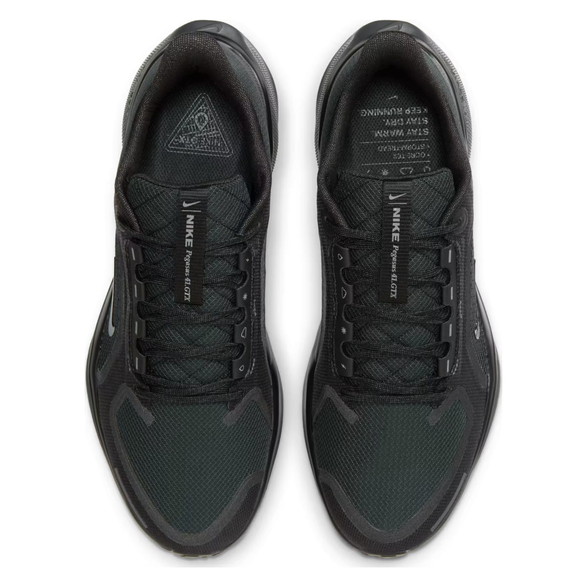 Nike Pegasus 41 GORE-TEX "Black"