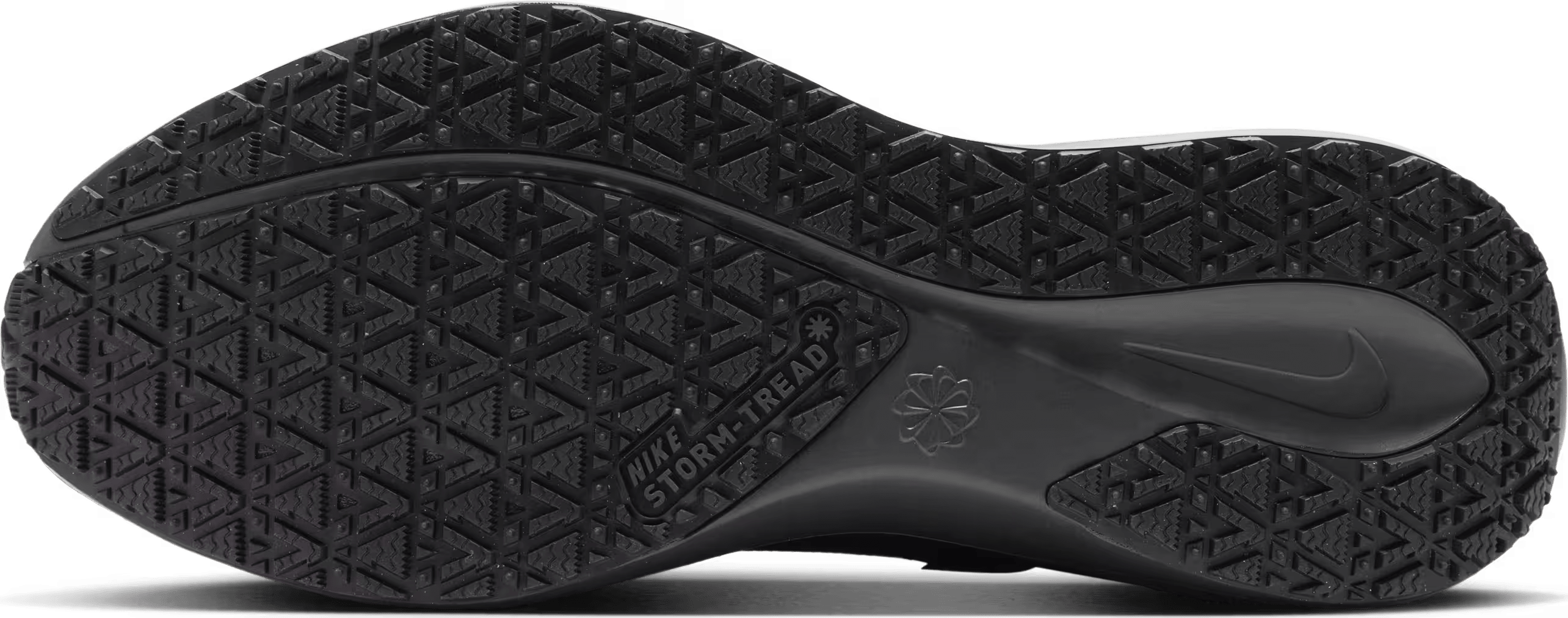 Nike Pegasus 41 GORE-TEX "Black"