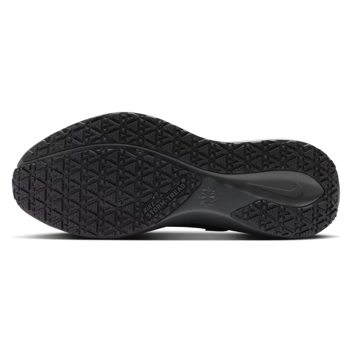 Nike Pegasus 41 GORE-TEX "Black"