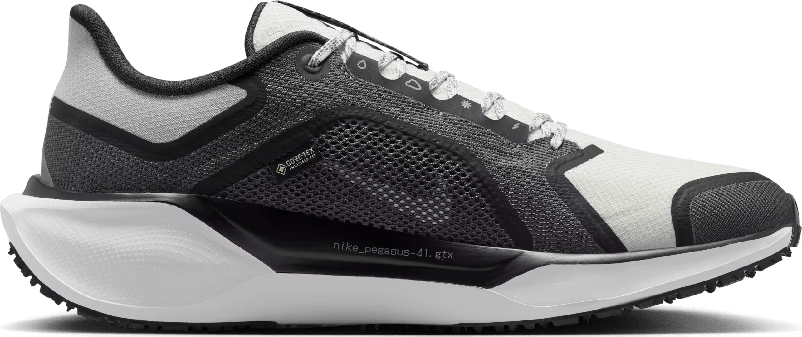 Nike Air Zoom Pegasus 41 Gore-Tex Black Anthracite Iron Grey Summit White