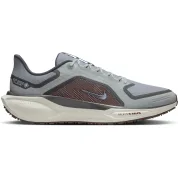 Nike Pegasus 41 GORE-TEX "Light Pumice"