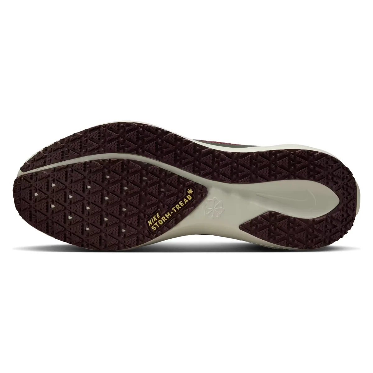 Nike Pegasus 41 GORE-TEX "Light Pumice"